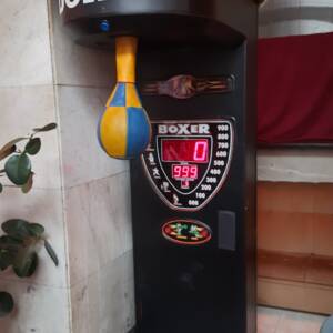 Силомір боксер в оренду.